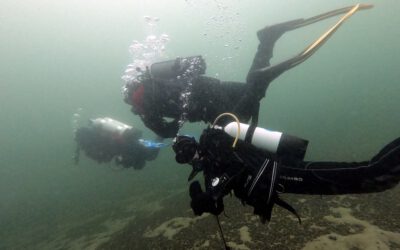 Tagesausfahrt zum Werbellinsee