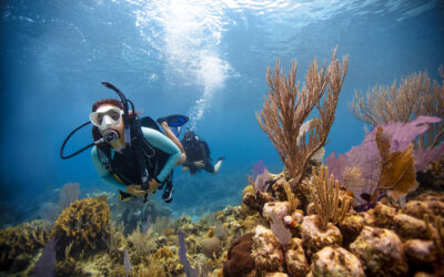 Open Water Diver Referral