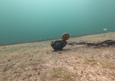 Unterwasseraufnahme des Geiseltalsees
