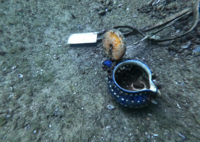 Versunkenes Fundstück unter Wasser im Geiseltalsee.