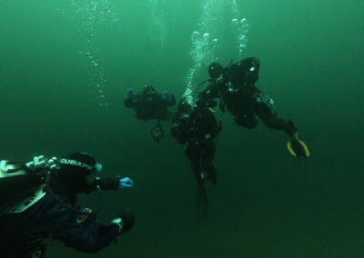 Gruppe von Tauchern gemeinsam unter Wasser im Geiseltalsee
