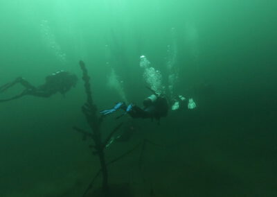 Mehrere Taucher gemeinsam unter Wasser im Geiseltalsee
